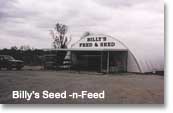 Feed and Seed